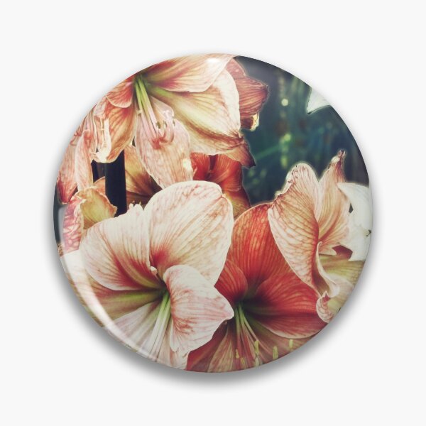 Item preview, Amaryllis designed and sold by RoxanneG.