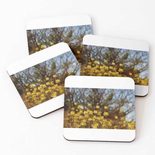 Artikelvorschau, Wildflowers entworfen und verkauft von Narelle Baer.