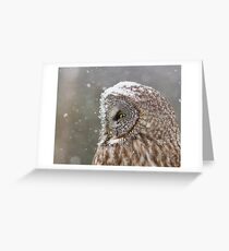 Lapland Profile Greeting Card