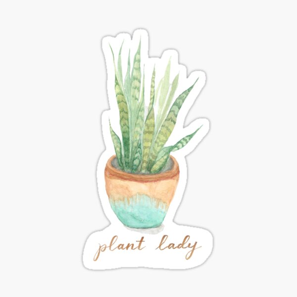 Plant Lady Snake Plant Teal and Brown Watercolor Sticker