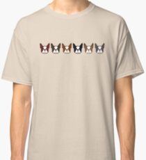 Boston Terriers! Black and white, brindle, gray, brown, and seal Bosties Classic T-Shirt