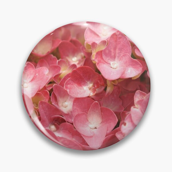 Item preview, Pink hydrangea closeup designed and sold by Gaspar Avila.