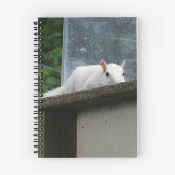 Item preview, White Squirrel designed and sold by Izayo-Darke1.