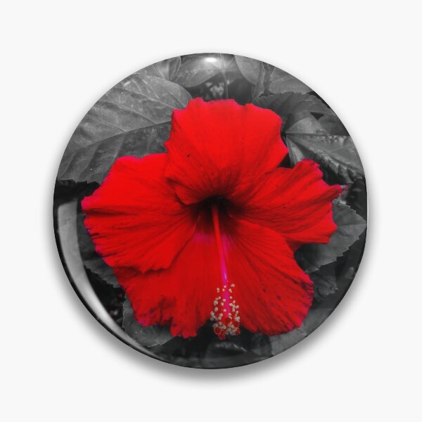 Artikelvorschau, Farbe Pop Hibiskus entworfen und verkauft von MetalheadMinis.