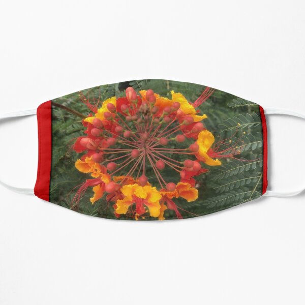 "Pride of Barbados" Poinciana Flat Mask