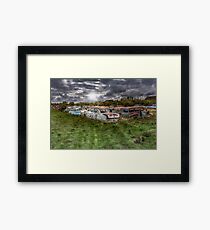 Bumper Crop Framed Print