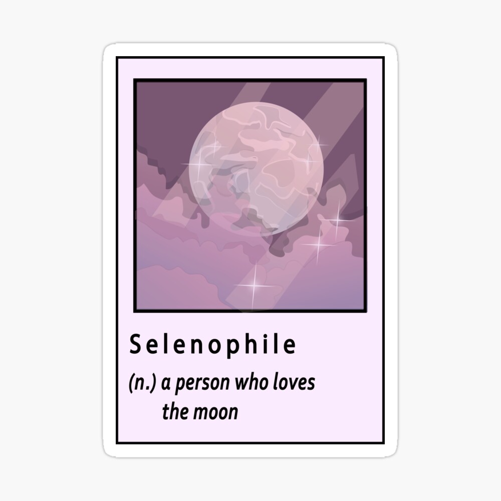 aesthetic moon polaroid l anime scenery polaroid spiral notebook by bossin redbubble