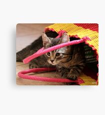 Playful Canvas Print