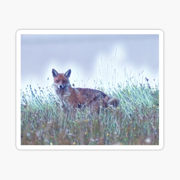 Item preview, Fox - spotted designed and sold by jonfun1.