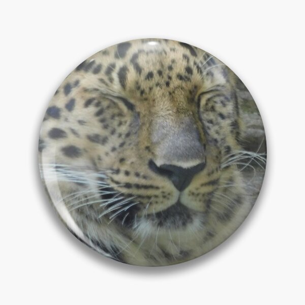Item preview, Regal designed and sold by Izayo-Darke1.