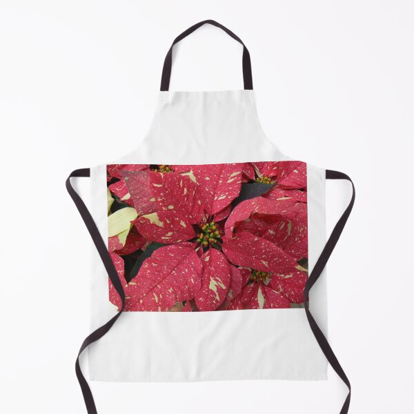 Item preview, Variegated Red Christmas Poinsettia designed and sold by Monika's Shop.