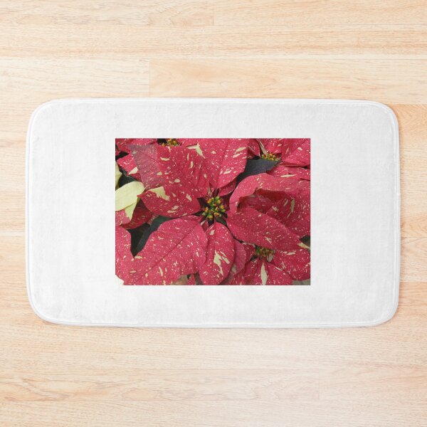 Item preview, Variegated Red Christmas Poinsettia designed and sold by Monika's Shop.