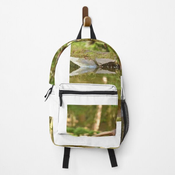 Item preview, Red Squirrel Leaping designed and sold by Chris Monks.