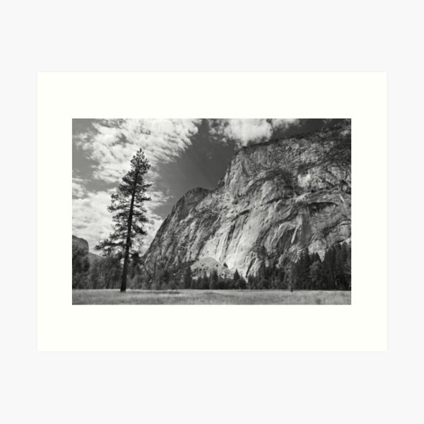 Yosemite Art Print