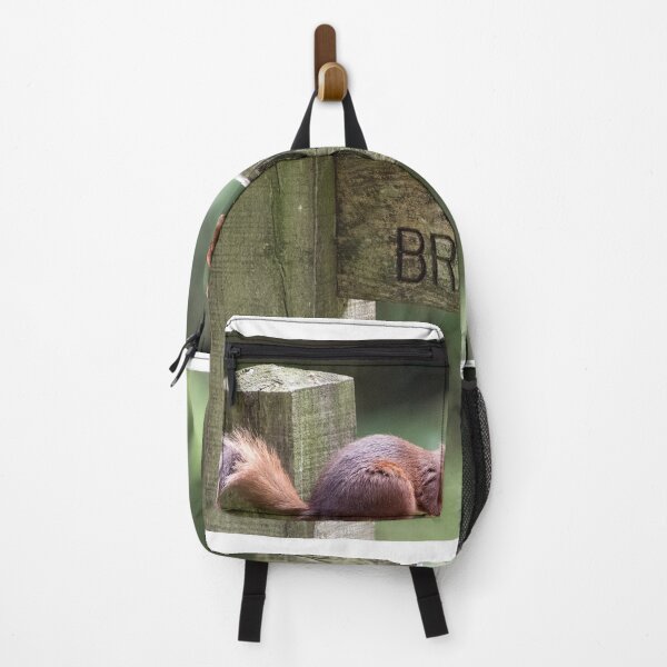 Item preview, Red Squirrel on a Signpost designed and sold by Chris Monks.
