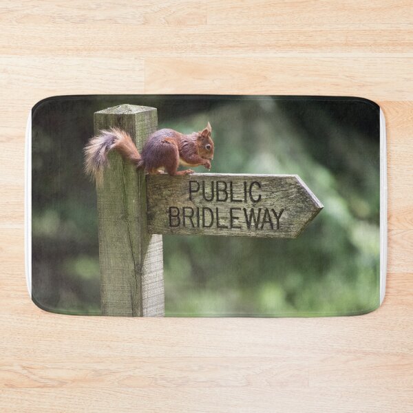 Item preview, Red Squirrel on a Signpost designed and sold by Chris Monks.