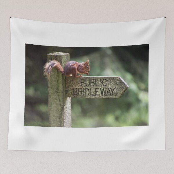 Item preview, Red Squirrel on a Signpost designed and sold by Chris Monks.