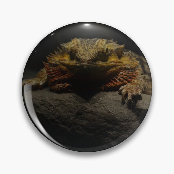 Item preview, Bearded Dragon 1 designed and sold by teacup21.