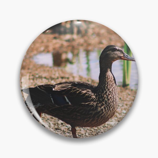 Item preview, Perched designed and sold by Maggie Reynolds.