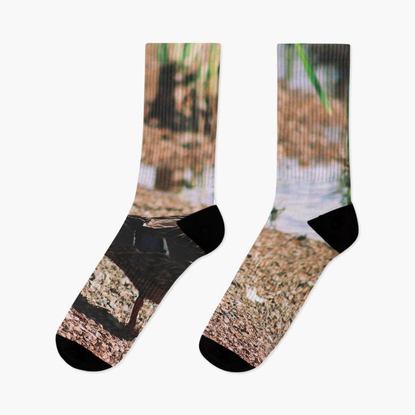Item preview, Perched designed and sold by Maggie Reynolds.