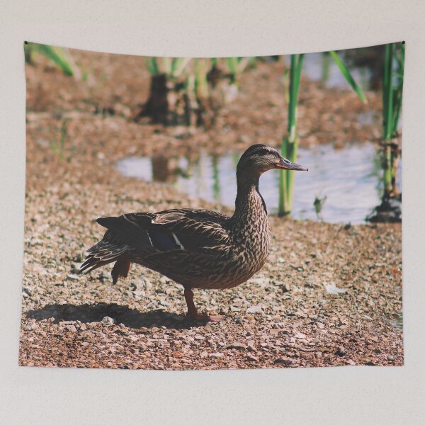 Item preview, Perched designed and sold by Maggie Reynolds.