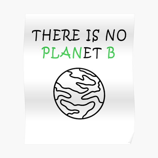 There Is No Planet B (Without Animals) - NEW Classroom Motivational Poster  (cm951)