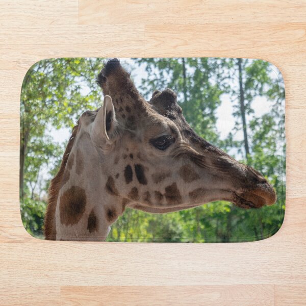 Aperçu de l'œuvre Tête de girafe de profil créée et vendue par DBSA.
