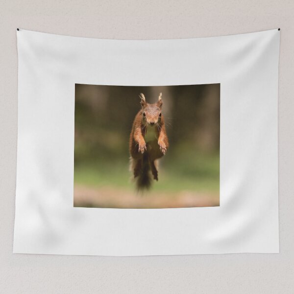 Item preview, Red Squirrel jumping in mid air designed and sold by Chris Monks.