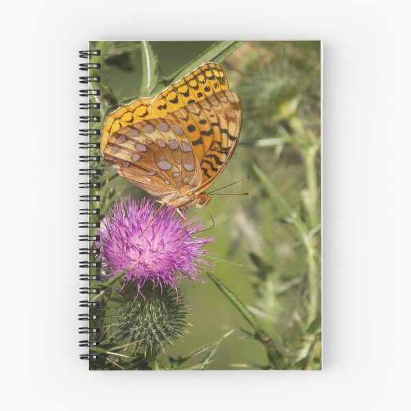 Item preview, Fritillary On Thistle 2013-3 designed and sold by Thomasyoung.