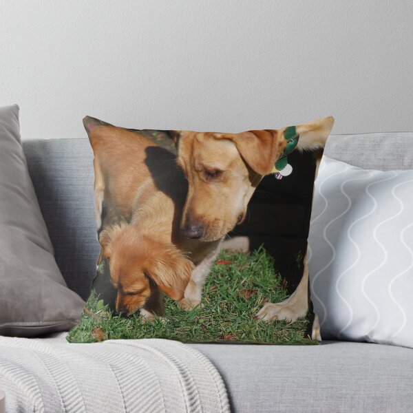 Item preview, Dogs Sniffing designed and sold by ArcherArtist.