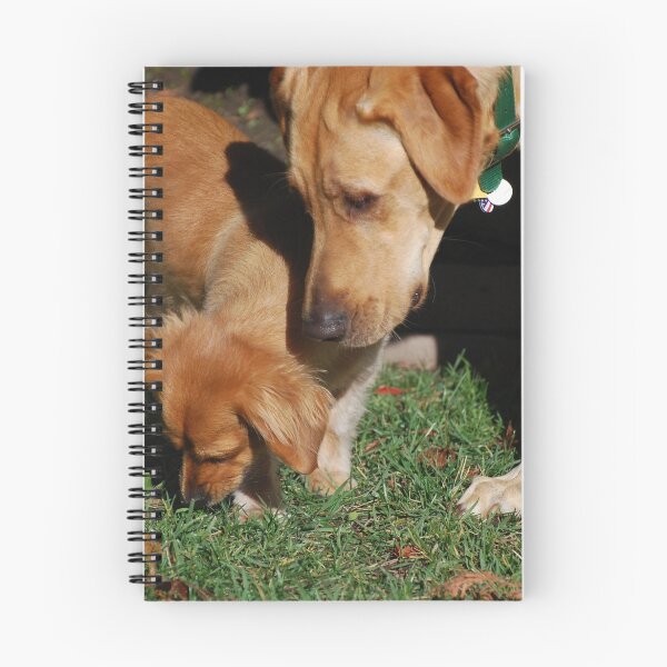 Item preview, Dogs Sniffing designed and sold by ArcherArtist.