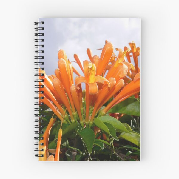 Item preview, Orange Flowers at Busch Gardens designed and sold by Monika's Shop.