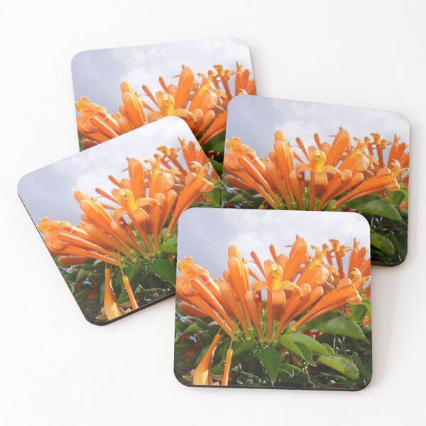 Item preview, Orange Flowers at Busch Gardens designed and sold by Monika's Shop.