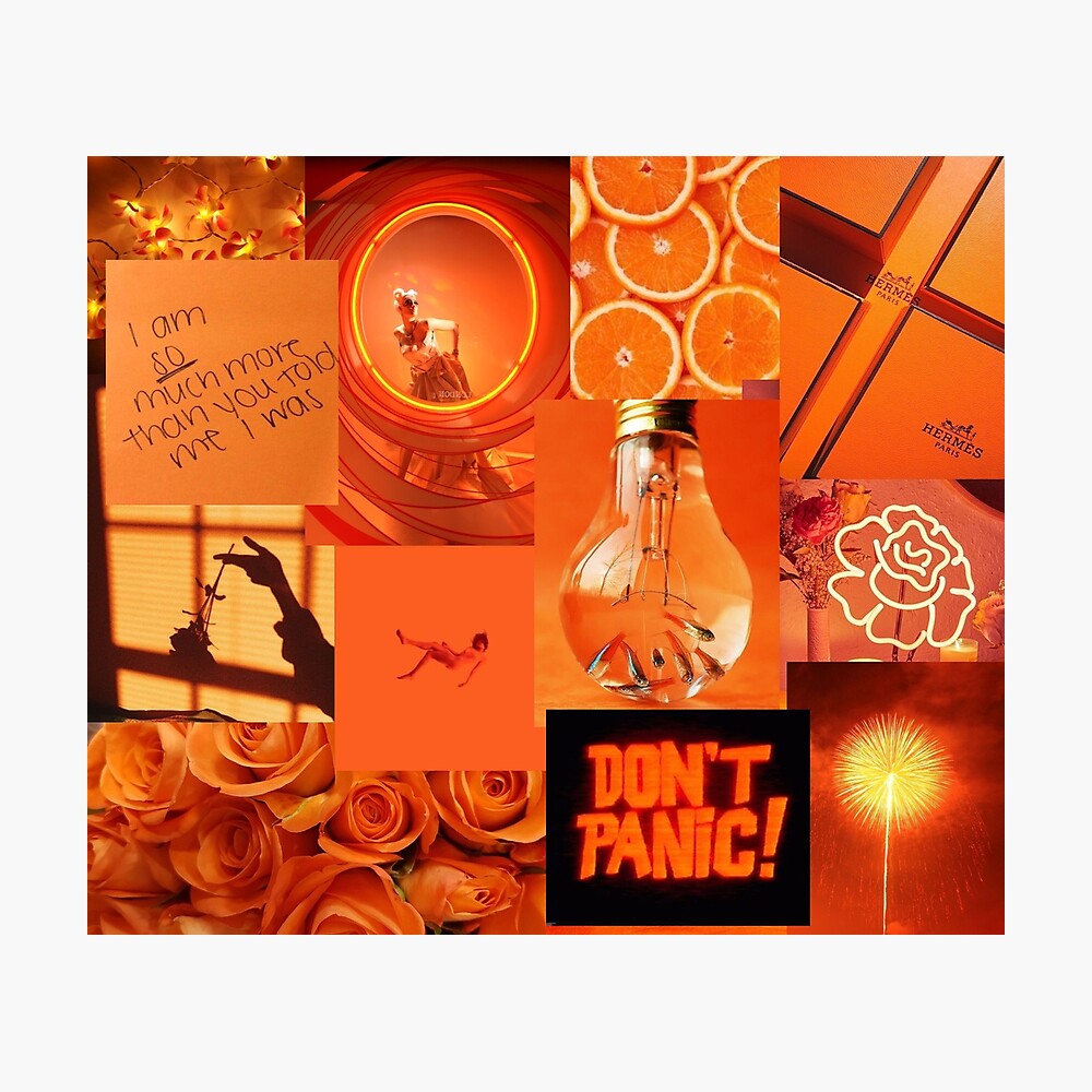 Featured image of post Neon Orange Aesthetic Wallpaper / Find 20 images that you can add to blogs, websites, or as desktop and phone wallpapers.
