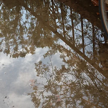 Artwork thumbnail, reflection by teacup21