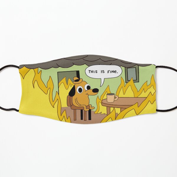 This is fine. Kids Mask