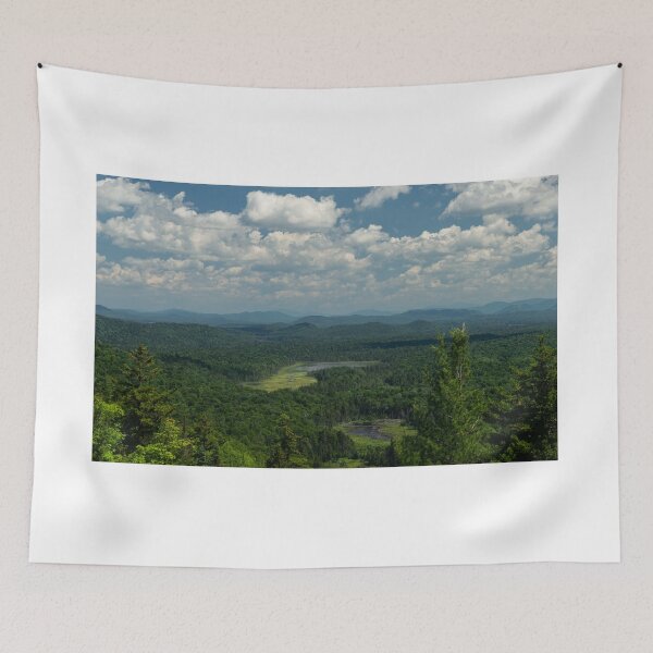Item preview, Mountain View - Adirondacks designed and sold by OutsideNY.