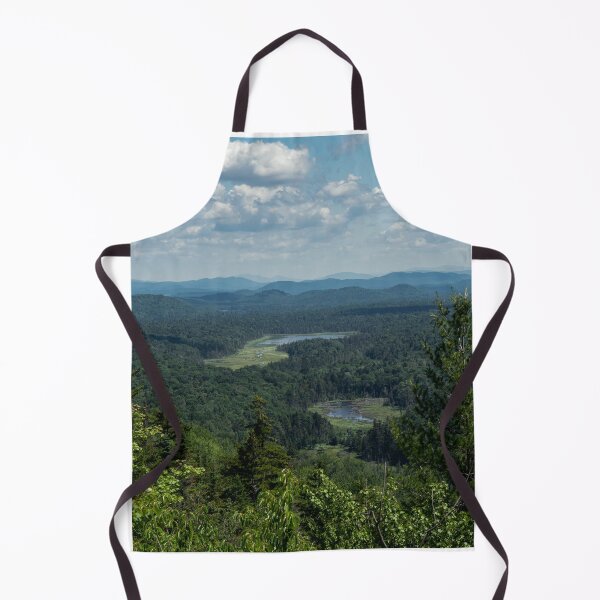 Aperçu de l'œuvre Montagne de l'ours noir - Adirondacks créée et vendue par OutsideNY.