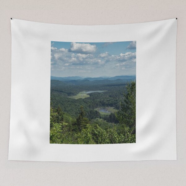 Aperçu de l'œuvre Montagne de l'ours noir - Adirondacks créée et vendue par OutsideNY.