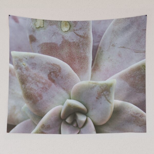 Item preview, Purple and Green Succulent designed and sold by designsbyad.