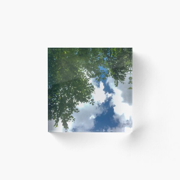 Item preview, Blue sky summery tree view designed and sold by RikerCo.