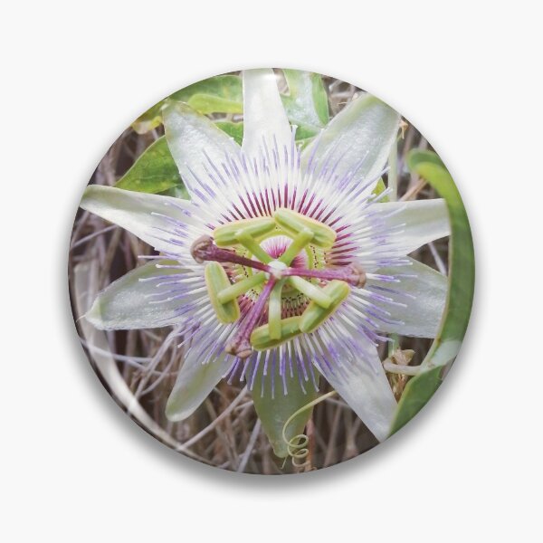 Item preview, Passiflora Caerulea designed and sold by Hazel Meades.