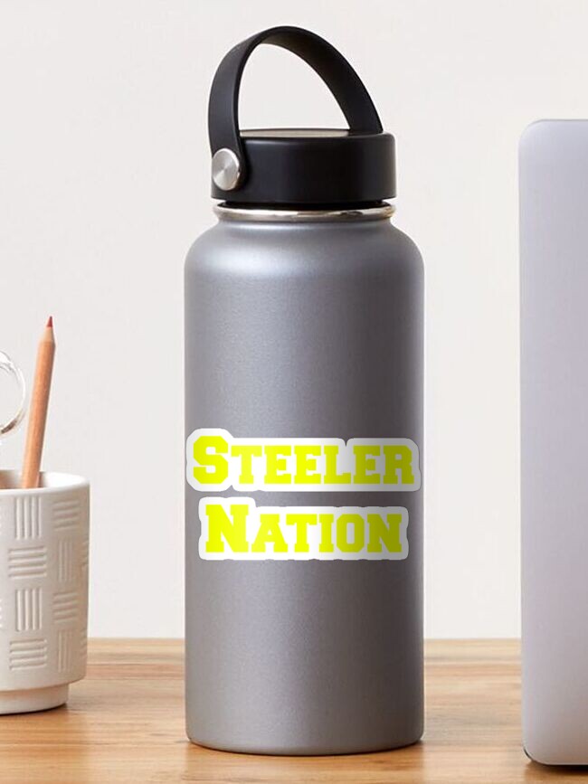 Pittsburgh Steelers NFL Wordmark Chill Water Bottle