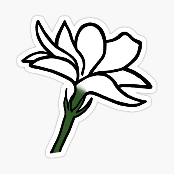 Featured image of post White Sampaguita Drawing Easy Brushes stickers coloring pages and more