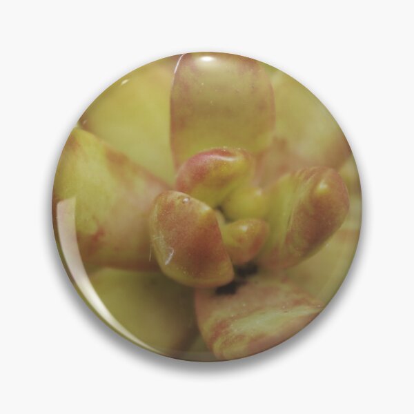 Item preview, Yellow Succulent designed and sold by designsbyad.