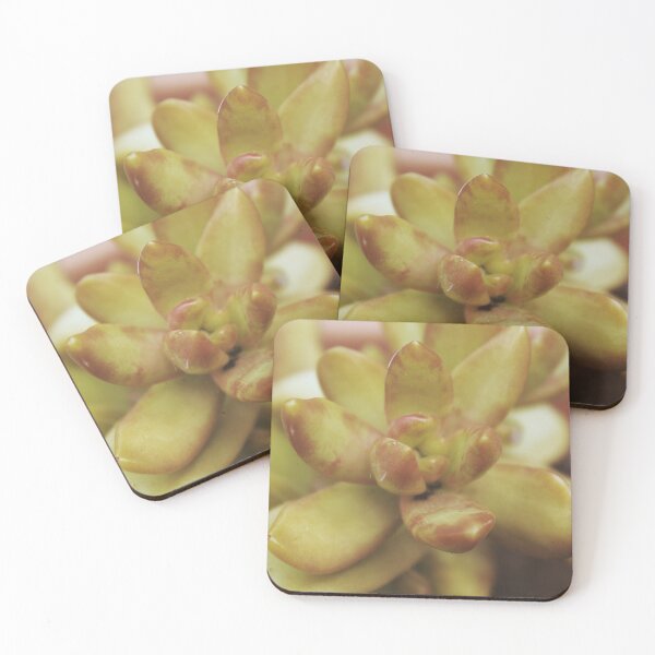Item preview, Yellow Succulent designed and sold by designsbyad.