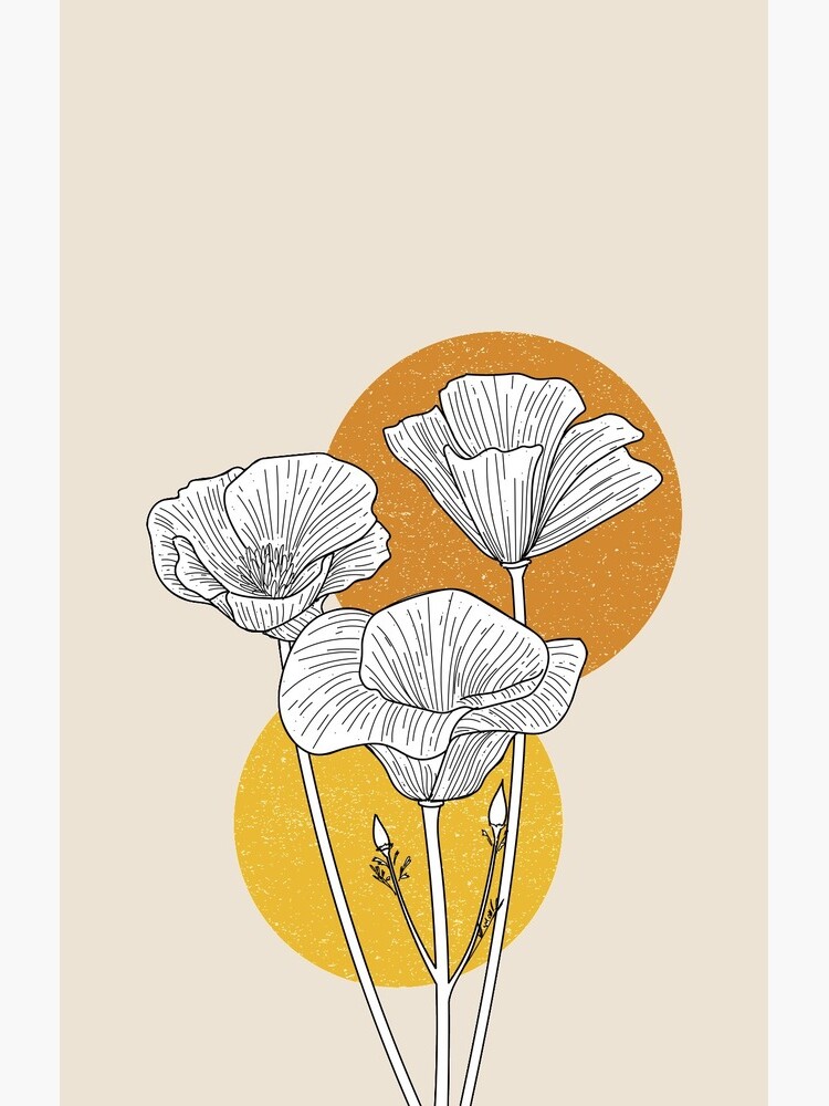 California Golden Poppies by aiphan