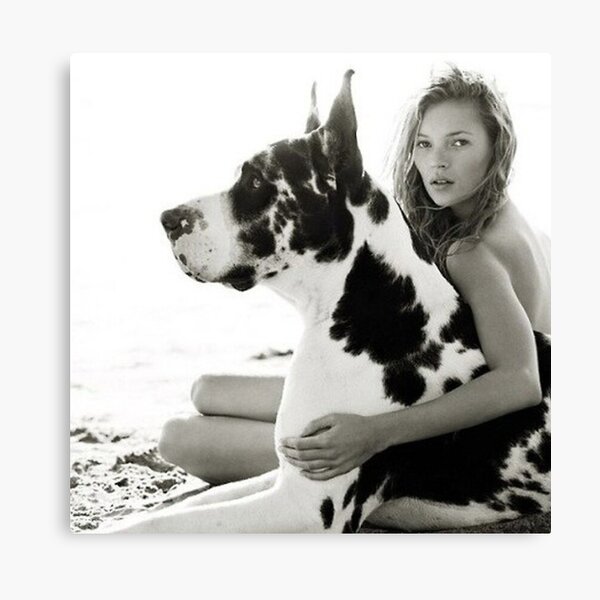 KATE DANE Canvas Print