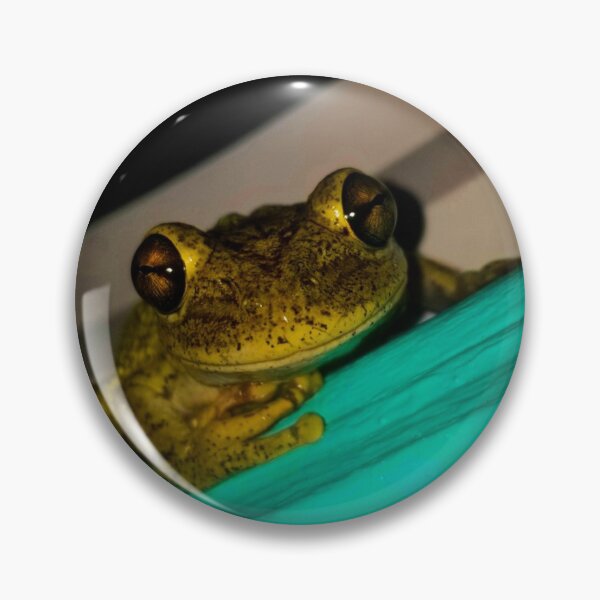 Item preview, Green Frog Photo designed and sold by fourleafphotos.