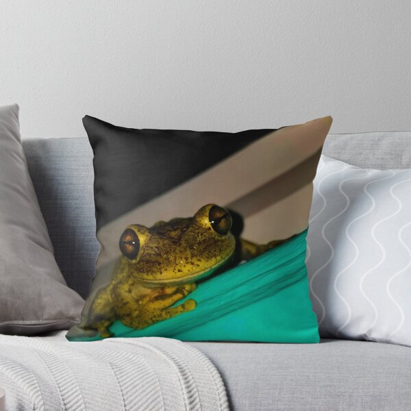 Item preview, Green Frog Photo designed and sold by fourleafphotos.